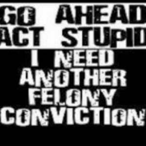 Meet your Posher, Roy